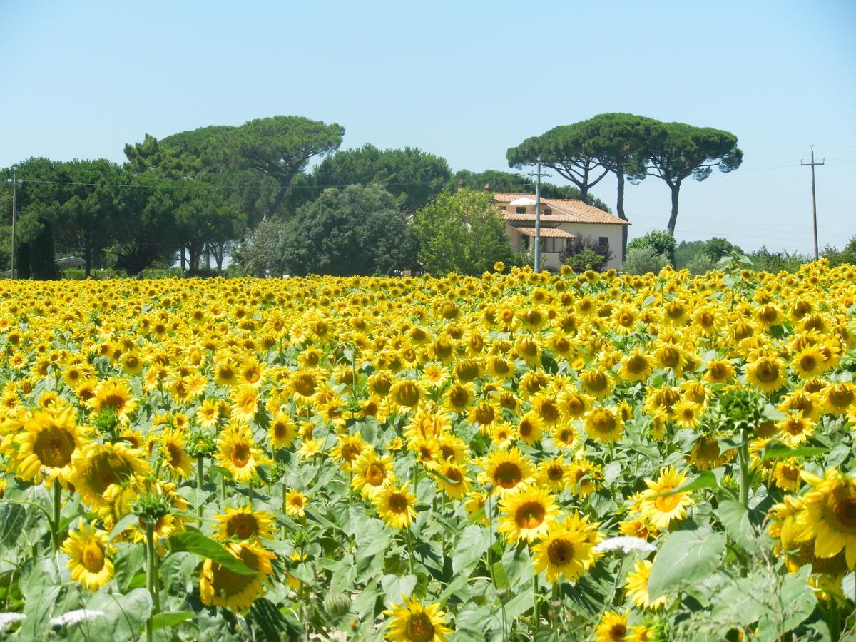 Boschetto Del Lago Castiglione del Lago Zewnętrze zdjęcie
